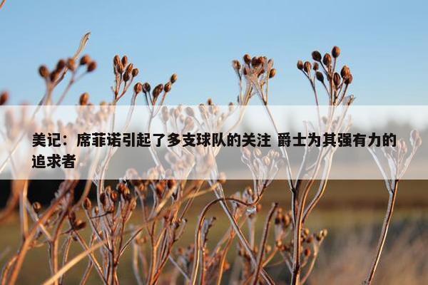 美记：席菲诺引起了多支球队的关注 爵士为其强有力的追求者