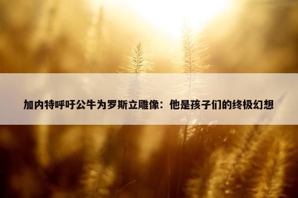 加内特呼吁公牛为罗斯立雕像：他是孩子们的终极幻想