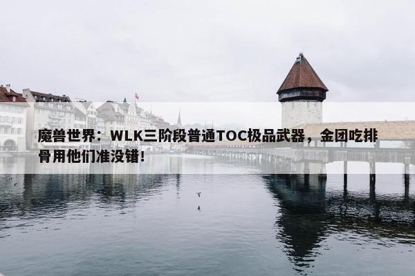 魔兽世界：WLK三阶段普通TOC极品武器，金团吃排骨用他们准没错！