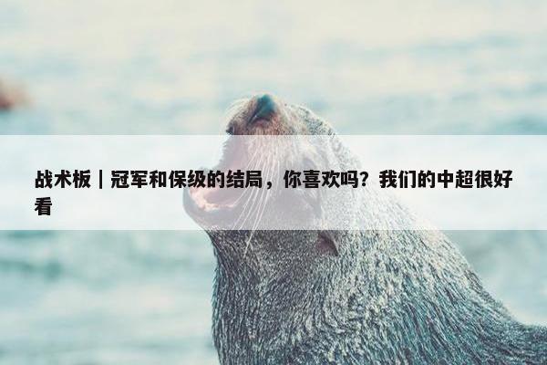 战术板｜冠军和保级的结局，你喜欢吗？我们的中超很好看