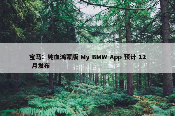 宝马：纯血鸿蒙版 My BMW App 预计 12 月发布