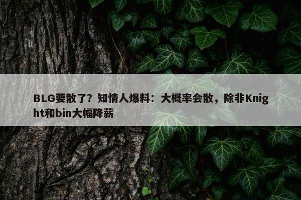 BLG要散了？知情人爆料：大概率会散，除非Knight和bin大幅降薪