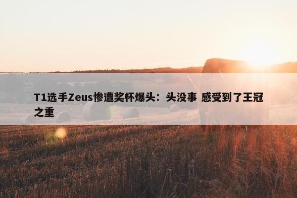 T1选手Zeus惨遭奖杯爆头：头没事 感受到了王冠之重