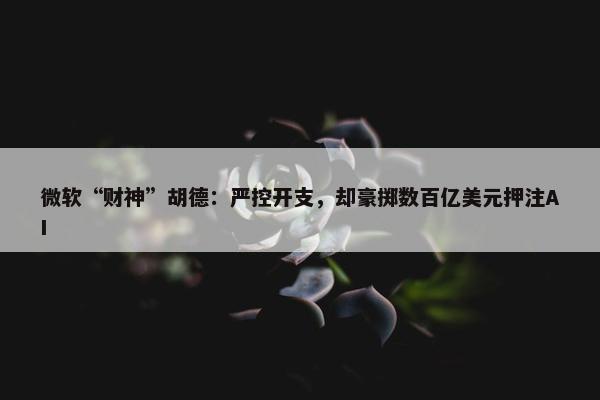 微软“财神”胡德：严控开支，却豪掷数百亿美元押注AI