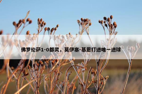 佛罗伦萨1-0都灵，莫伊塞-基恩打进唯一进球