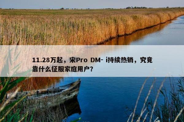 11.28万起，宋Pro DM- i持续热销，究竟靠什么征服家庭用户？