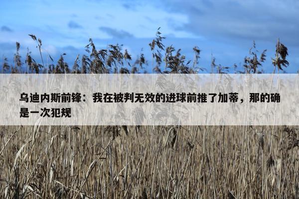 乌迪内斯前锋：我在被判无效的进球前推了加蒂，那的确是一次犯规