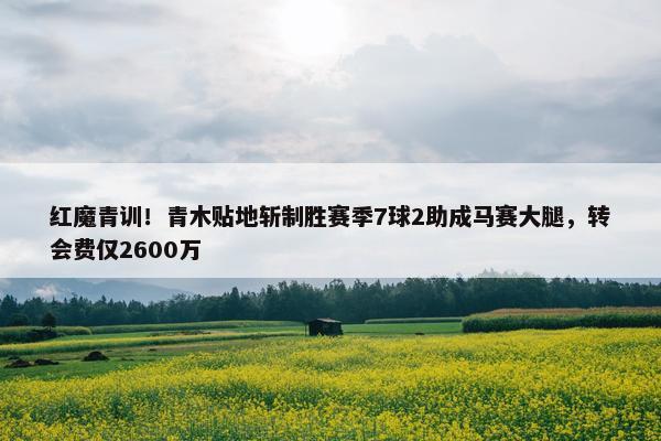 红魔青训！青木贴地斩制胜赛季7球2助成马赛大腿，转会费仅2600万