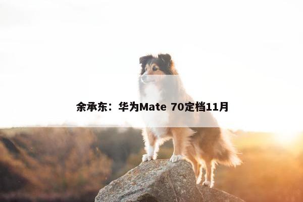 余承东：华为Mate 70定档11月