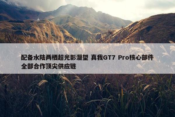 配备水陆两栖超光影潜望 真我GT7 Pro核心部件全部合作顶尖供应链