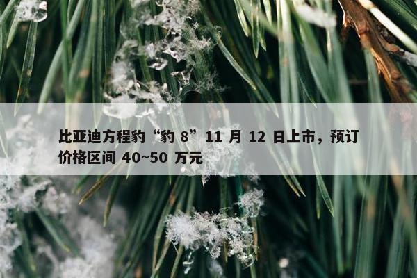 比亚迪方程豹“豹 8”11 月 12 日上市，预订价格区间 40~50 万元