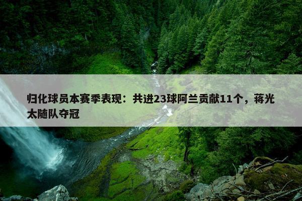 归化球员本赛季表现：共进23球阿兰贡献11个，蒋光太随队夺冠